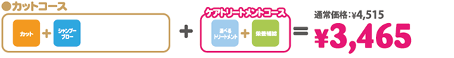 カットコース